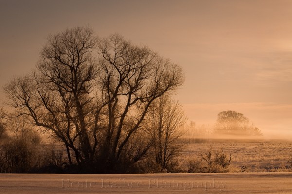 winter fog (1 of 1)-3