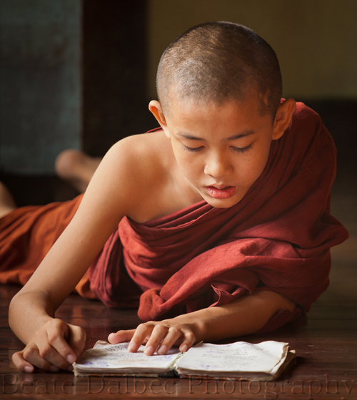 monk studying