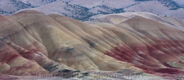 painted hills evening web