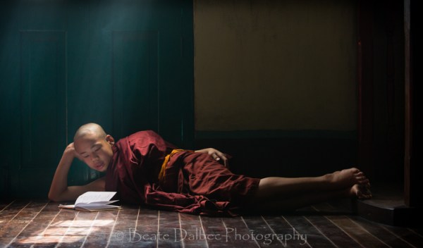 monk studying new web (1 of 1)